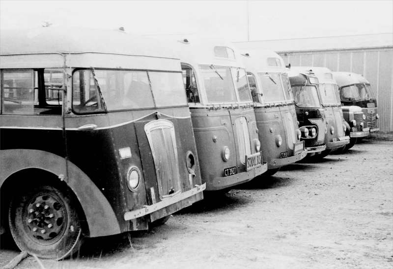 Coupers Buses