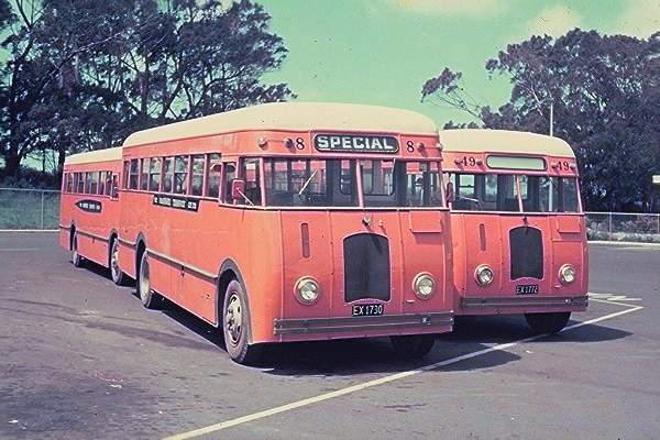 PTC Ford V8 Buses 8 and 49