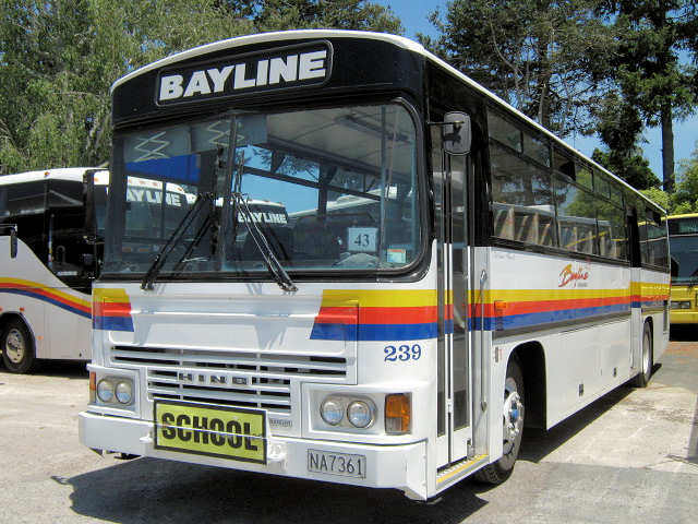 Bayline 239 Hino RK