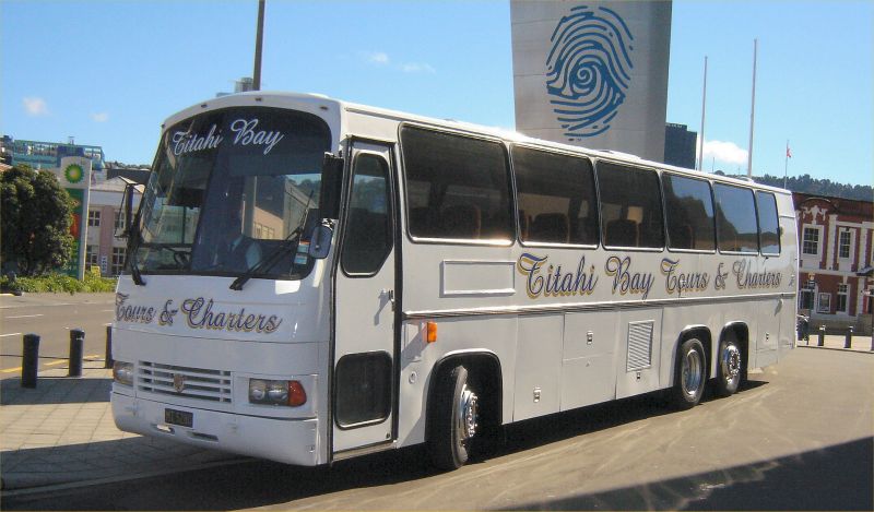 Titahi Bay Tours Tiger