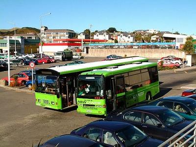 Newlands Coach Service 117