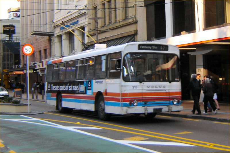 Wellington City Transport 213