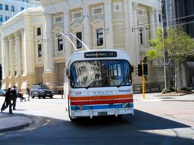 Wellington City Transport 239