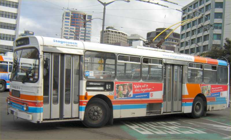 Wellington City Transport 243