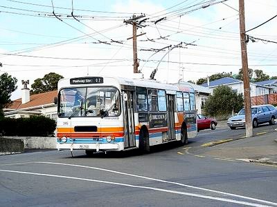 Wellington City Transport 245