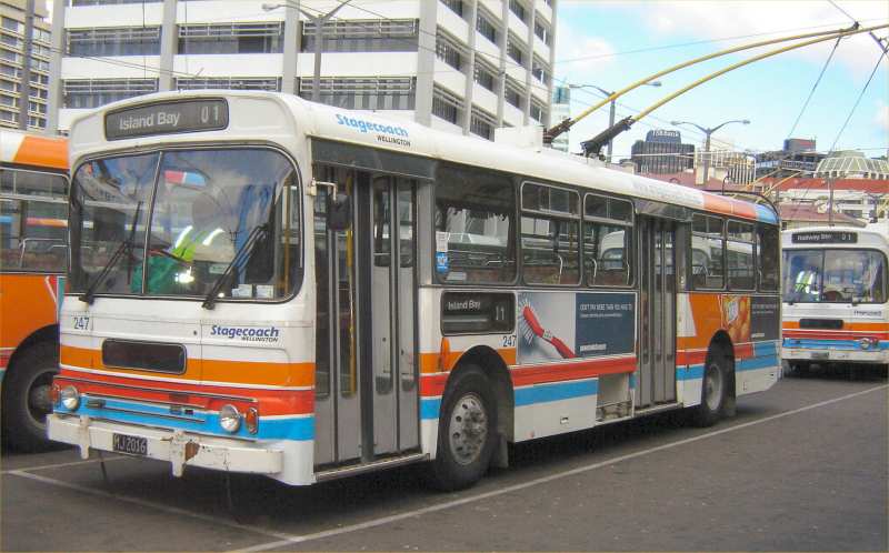 Wellington City Transport 247