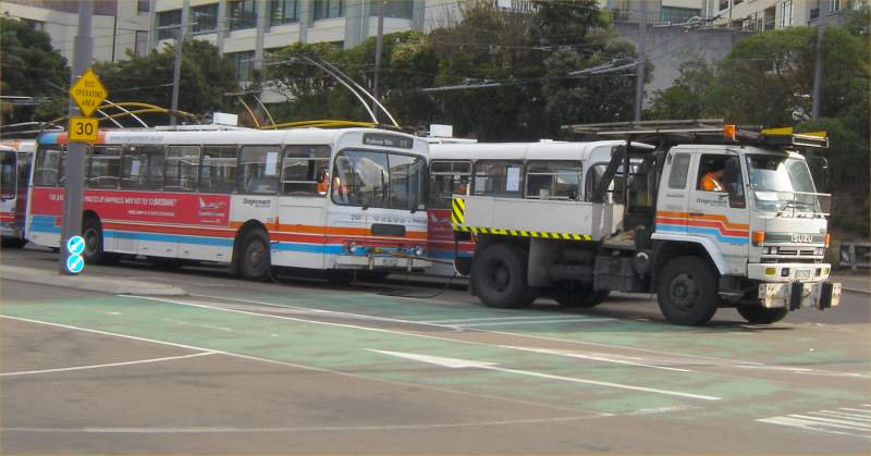 Wellington City Transport 250