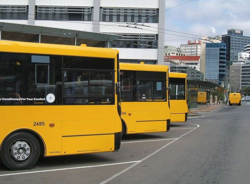 Go Wellington buses